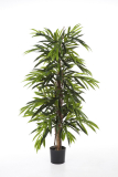 DELUXE LONGIFOLIA STROM, 150cm