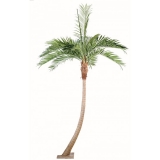 Kokosová palma oblý kmen, 400cm