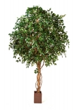 OBŘÍ FICUS EXOTICA STROM, 360cm