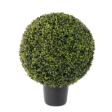 BUXUS KOULE v květináči, 60cm