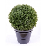 BUXUS KOULE REGULAR NEW, 89cm