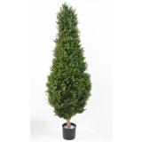 BUXUS RED DAY TOPIARY UV, 185cm