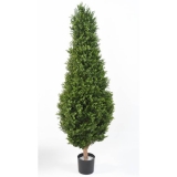 BUXUS RED DAY TOPIARY UV, 185cm