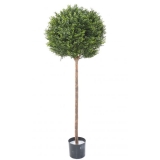 BUXUS KOULE RED DAY ROD UV, 140cm