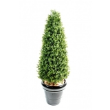 BUXUS TOPIARY NEW, 130cm