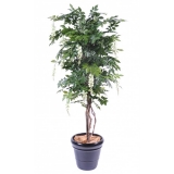 WISTERIA MULTI TREE CREAM, 110cm