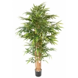 BAMBUS ECO BUSH, 185cm