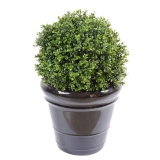 BUXUS KOULE NEW UV RESISTANT, 45cm