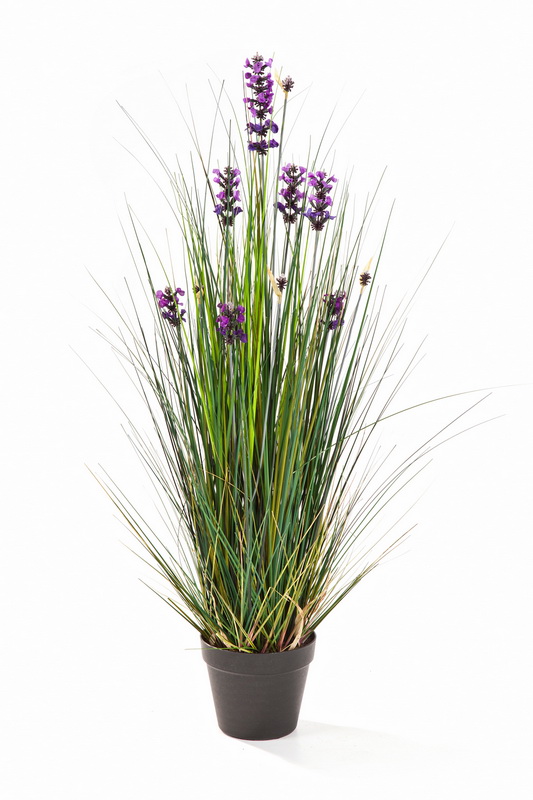 LAVENDER TRÁVA, 90cm