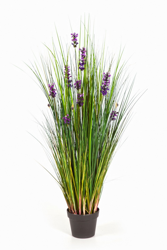LAVENDER TRÁVA, 120cm