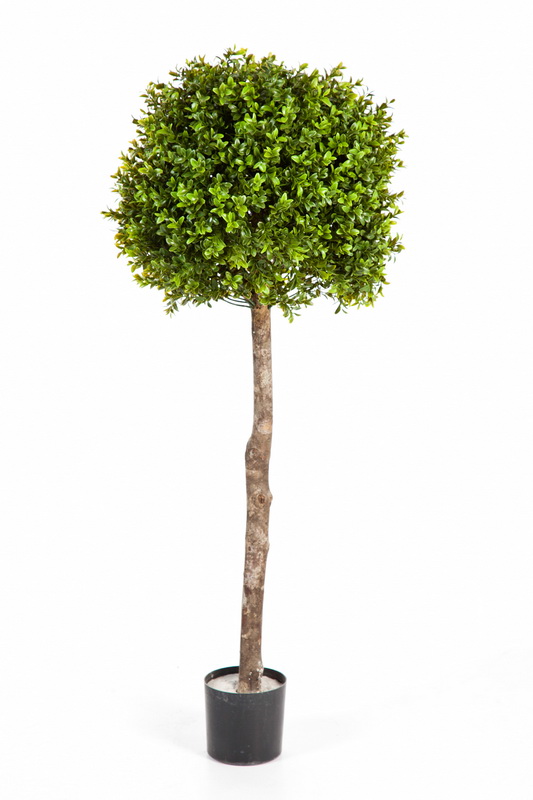 BUKSUS KOULE STROM, 105cm