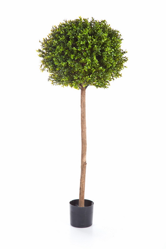 BUKSUS KOULE STROM, 140cm