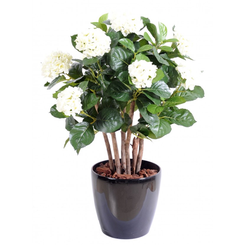 HORTENSIA bílá, 80cm