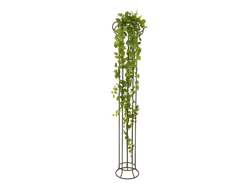 Popínavá rostlina Pothos deluxe, 170cm