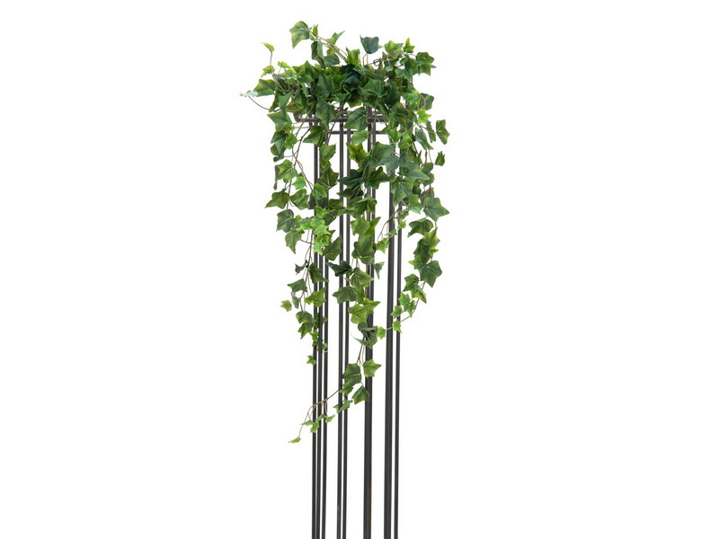 Popínavá rostlina Břečťan deluxe, 100cm