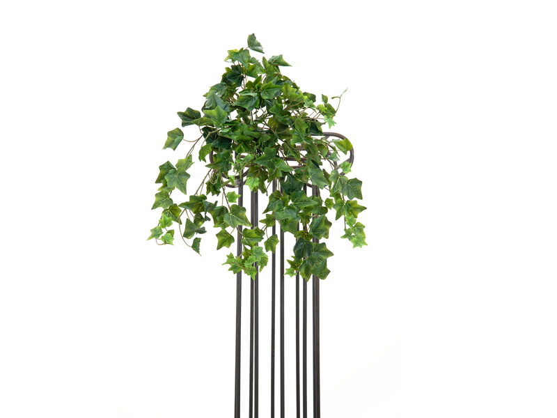 Popínavá rostlina Břečťan deluxe, 50cm