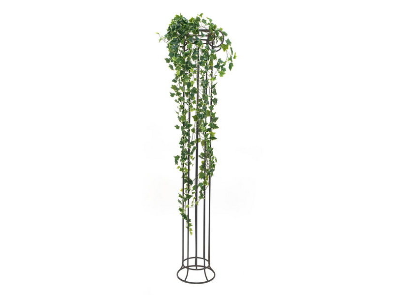 Popínavá rostlina Břečťan panašovaný deluxe, 170cm