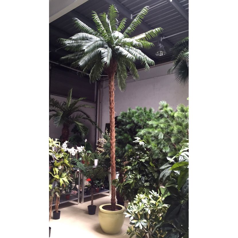 PHOENIX palma přírodní kmen, 450cm
