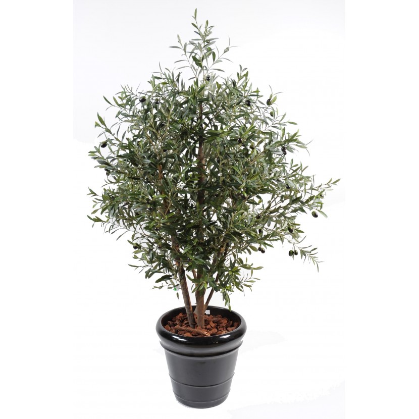 OLIVOVNÍK BUSH, 170cm