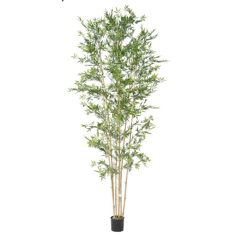 BAMBUS JAPANESE PLAST UV, 280cm