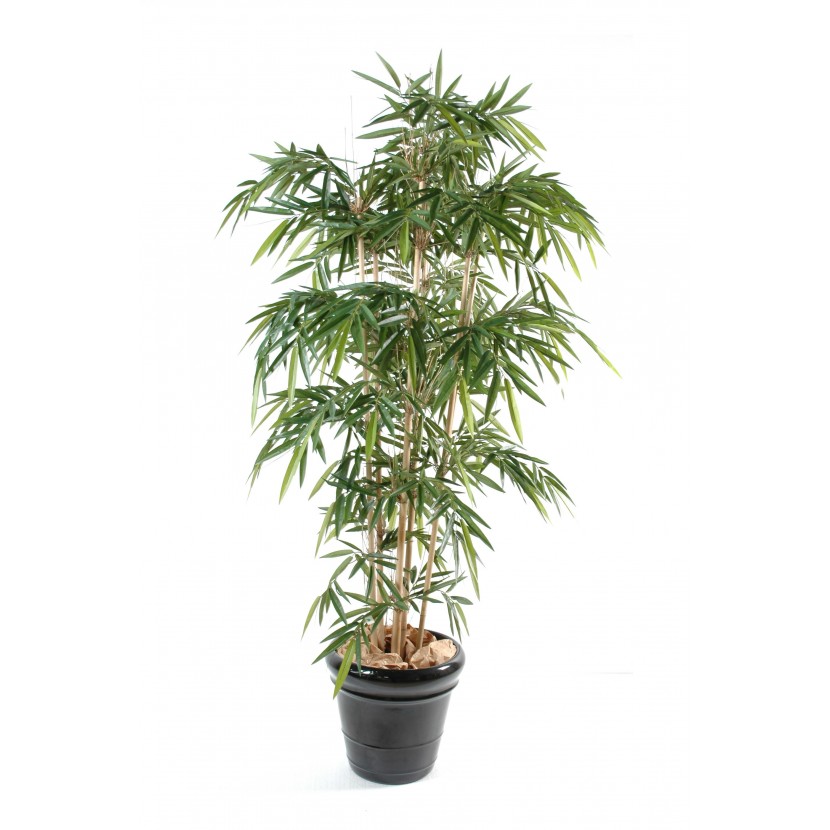 BAMBUS NEW, 120cm