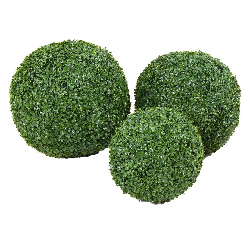 BUXUS KOULE GG, 50cm
