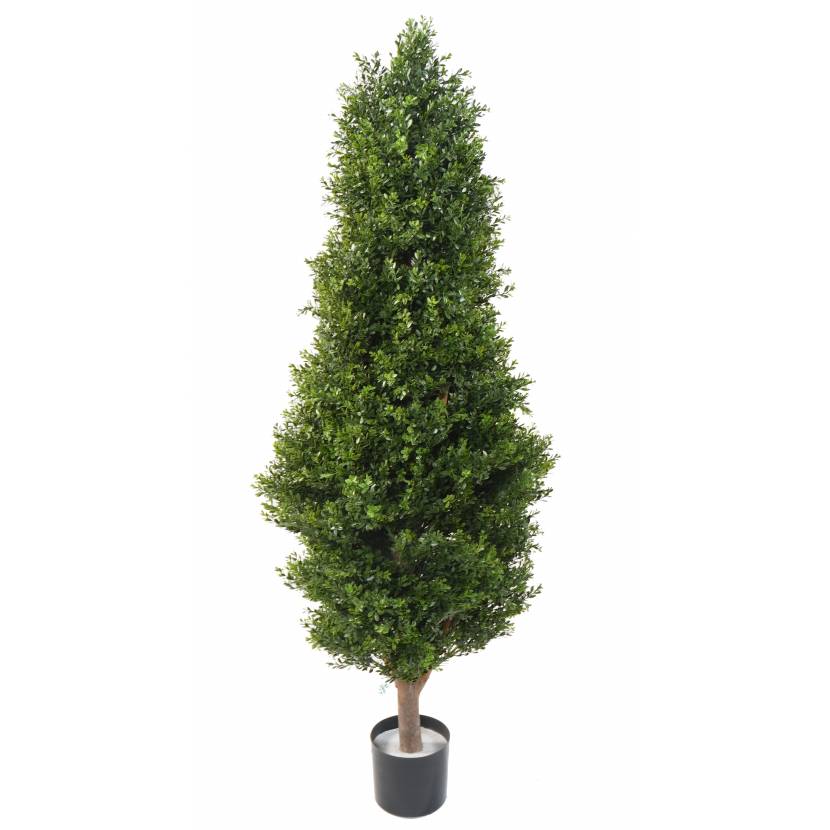 BUXUS RED DAY TOPIARY UV, 155cm