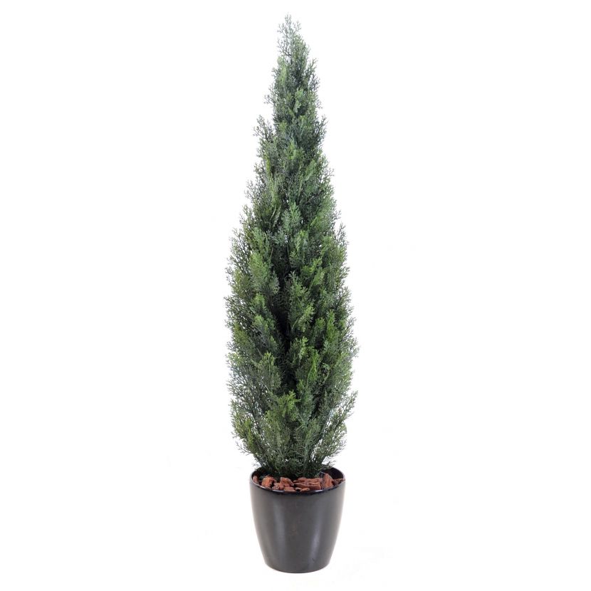 CYPŘIŠ MINI NEW, 270cm
