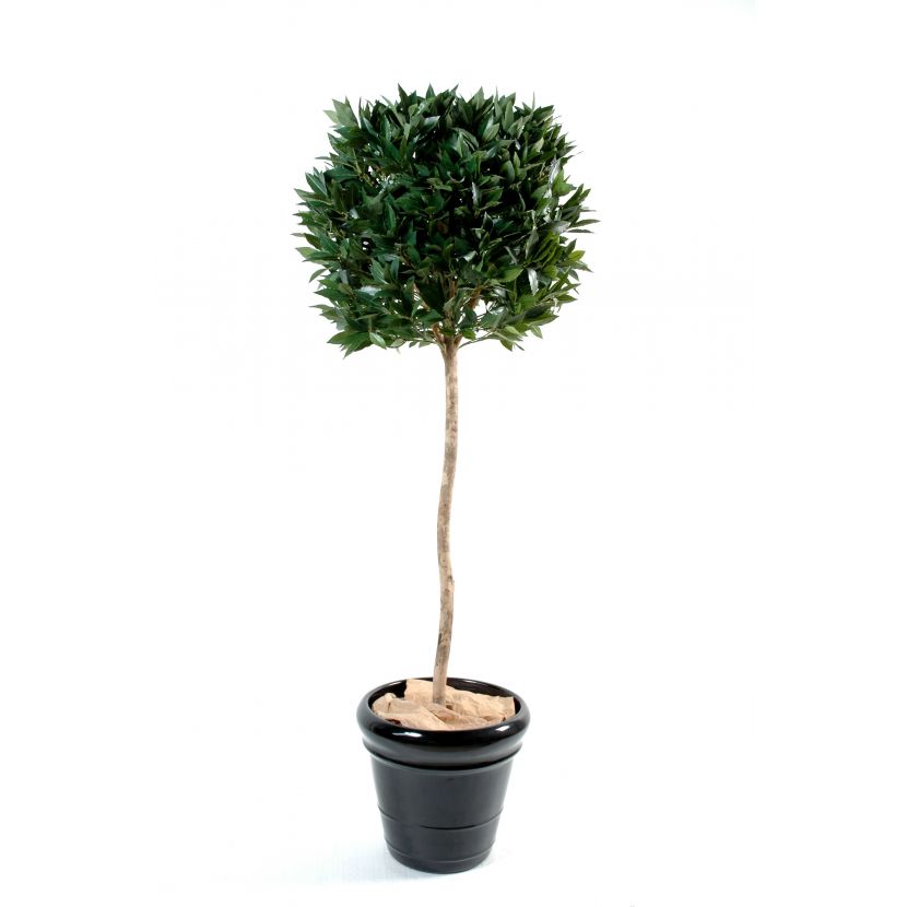VAVŘÍN KOULE STEM, 150cm