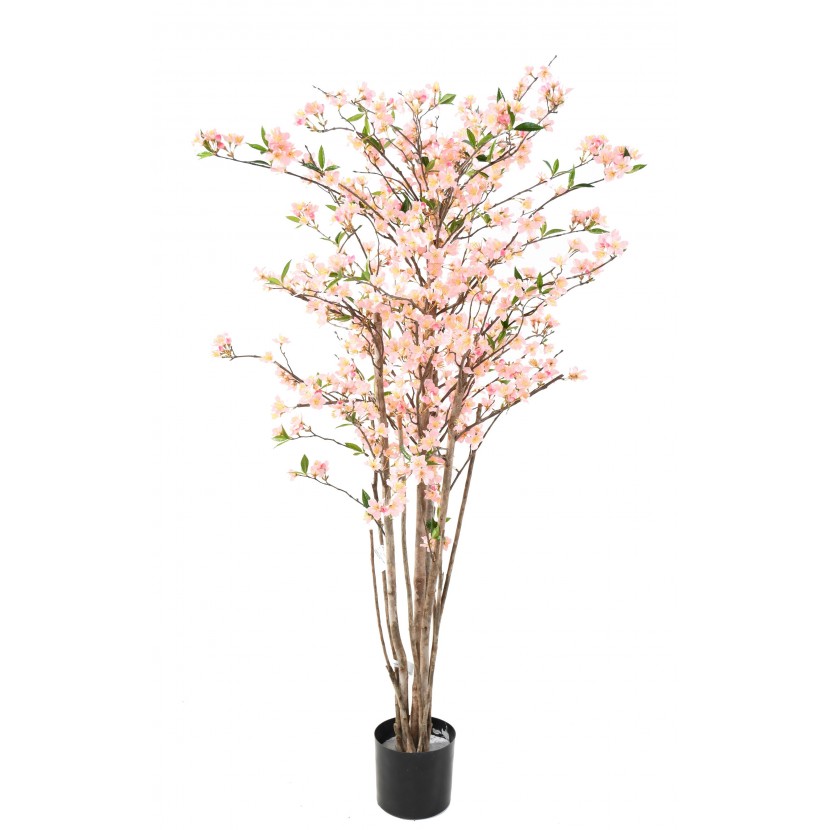 TŘEŠEŇ FLOWER NEW BABYPINK, 150cm
