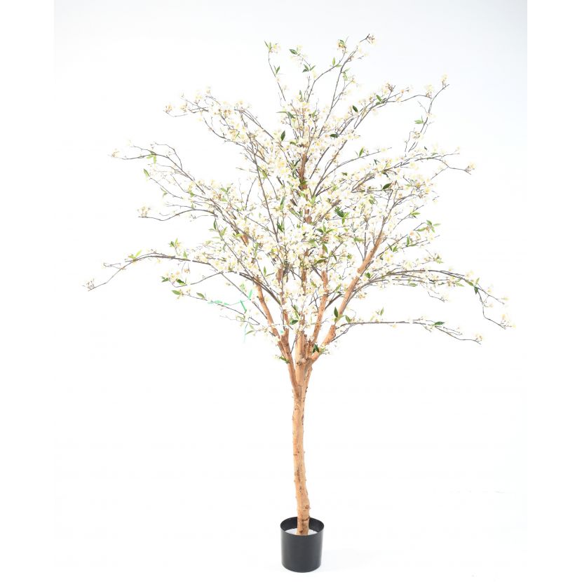 TŘEŠEŇ FLOWER WIDE bílá, 220cm