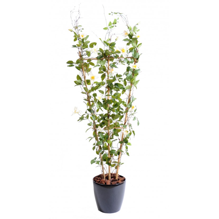 CLEMATITE FENCE, 140cm