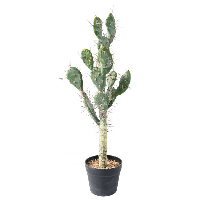 Umělý kaktus, 75cm
