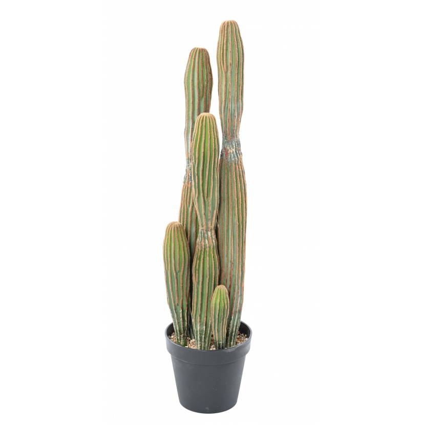 KAKTUS FINGER X, 95cm