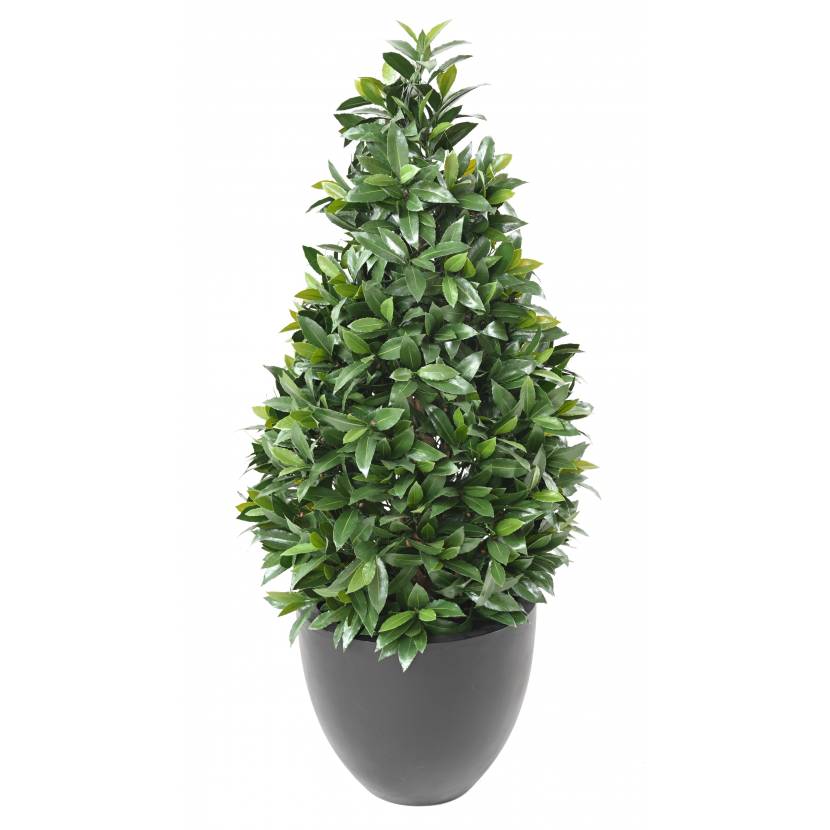 VAVŘÍN NOBILIS NEW CONE LARGE UV, 130cm