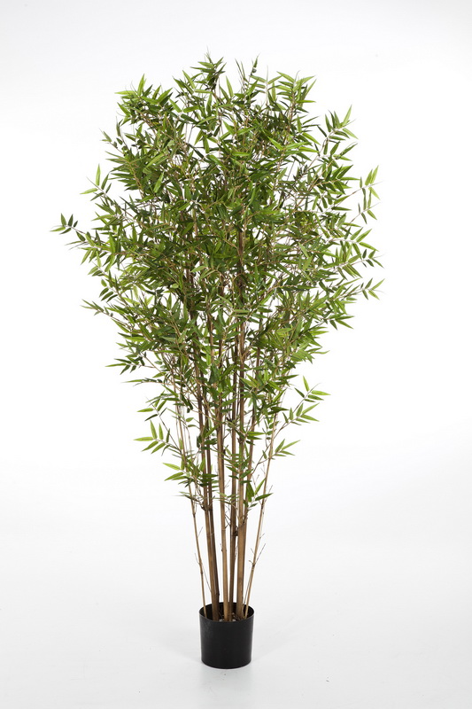 JAPONSKÝ ORIENT BAMBUS, 150cm