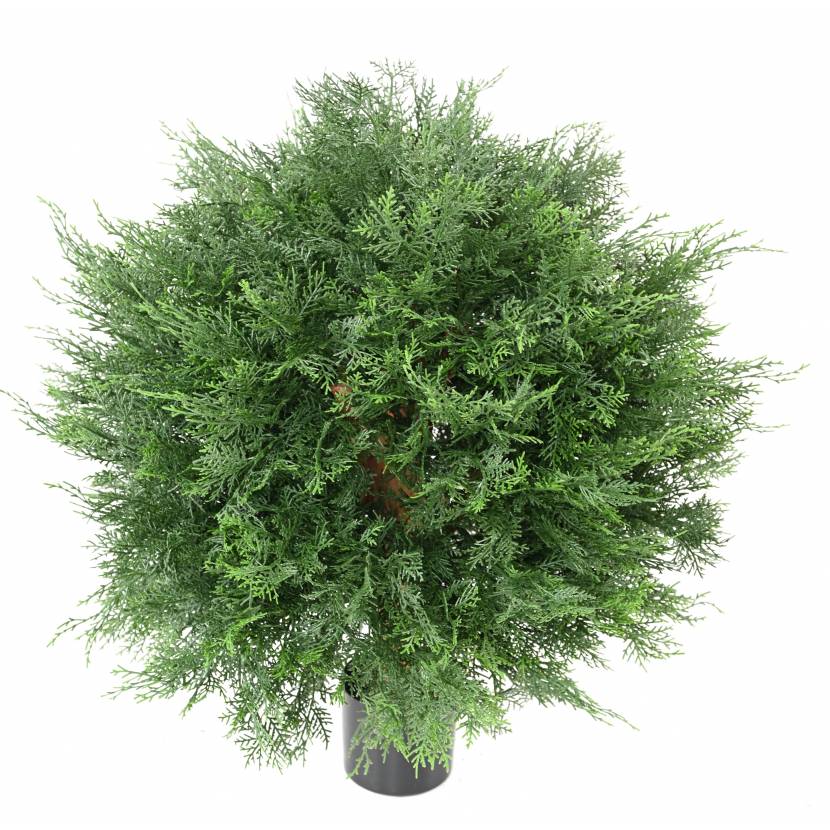 CYPŘIŠ LAWSON UV KOULE, 70cm