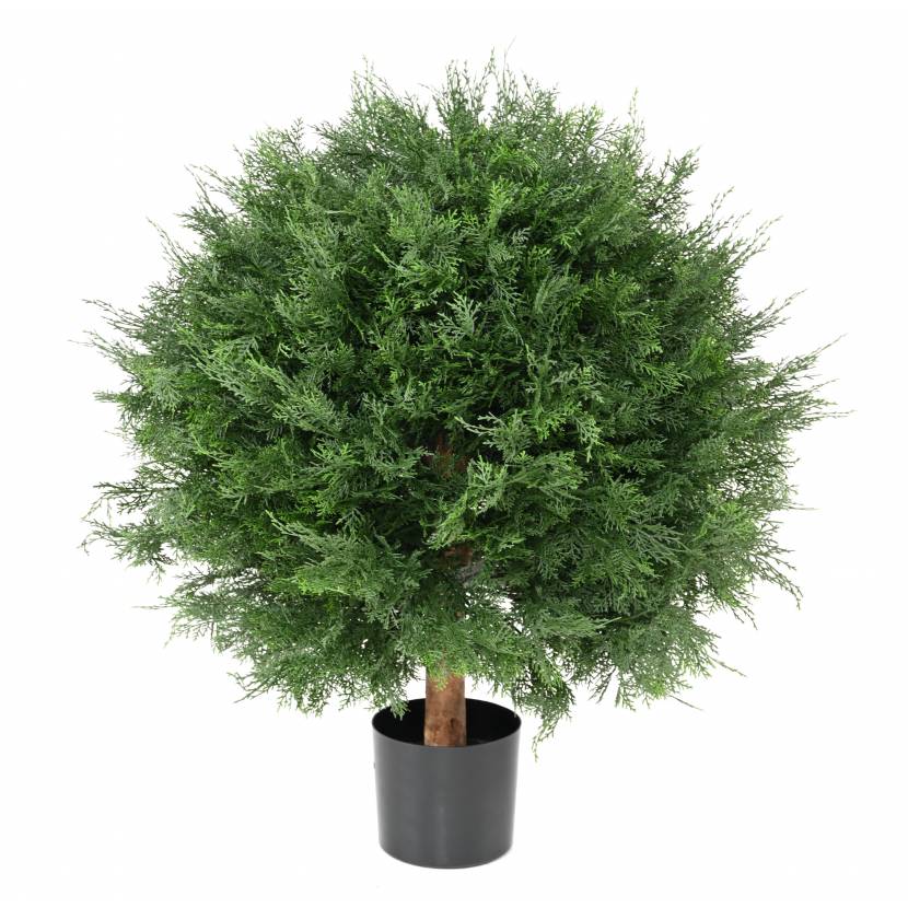 CYPŘIŠ LAWSON UV KOULE, 90cm