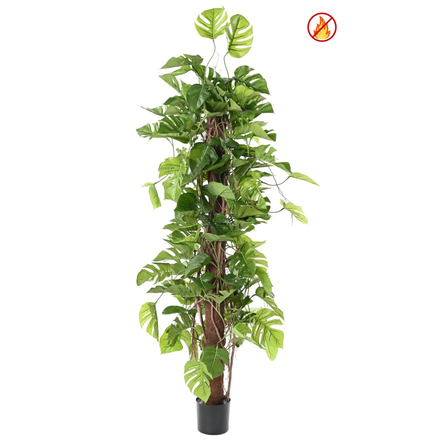 Philodendron Monstera na kokosovém kmeni ohnivzdorný, 195cm