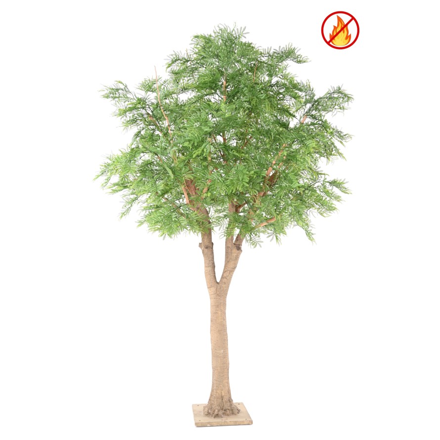 TAMARIND STROM (MIMOSA) ohnivzdorný, 295cm