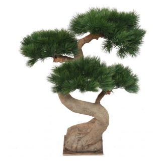 BOROVICE BONSAI, 92cm