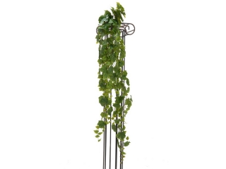 Popínavá rostlina Vinná réva deluxe, 170cm