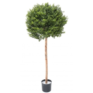 BUXUS KOULE RED DAY ROD UV, 110cm