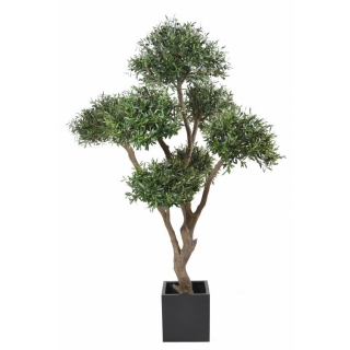 OLIVIER BONSAI MULTI HEAD, 270cm